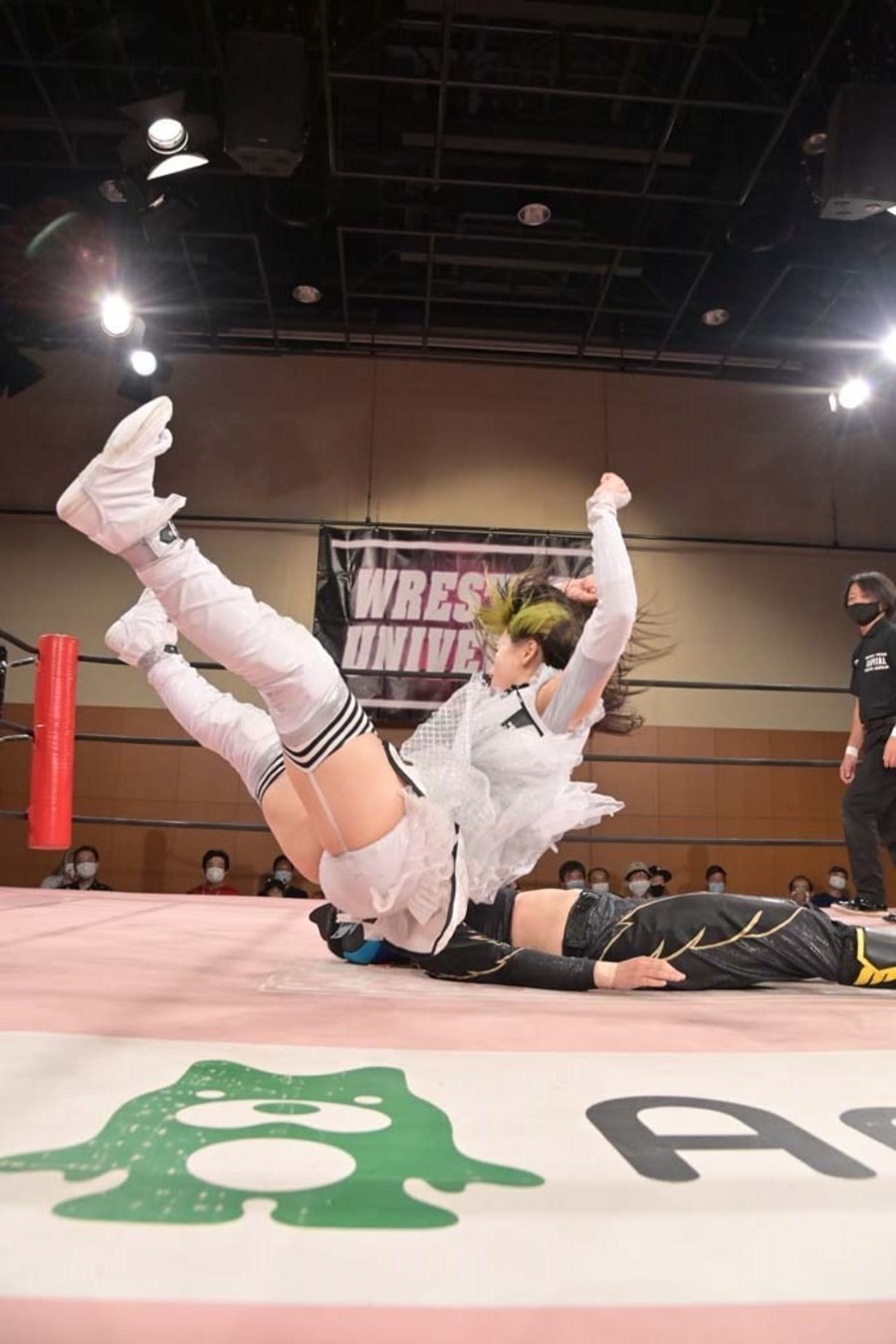 TJPW PERFECTION | 東京女子プロレス公式サイト