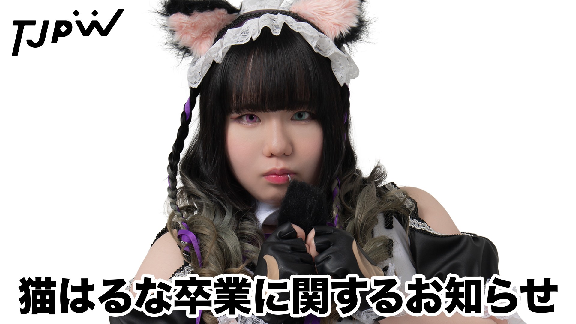 猫はるな卒業に関するお知らせ