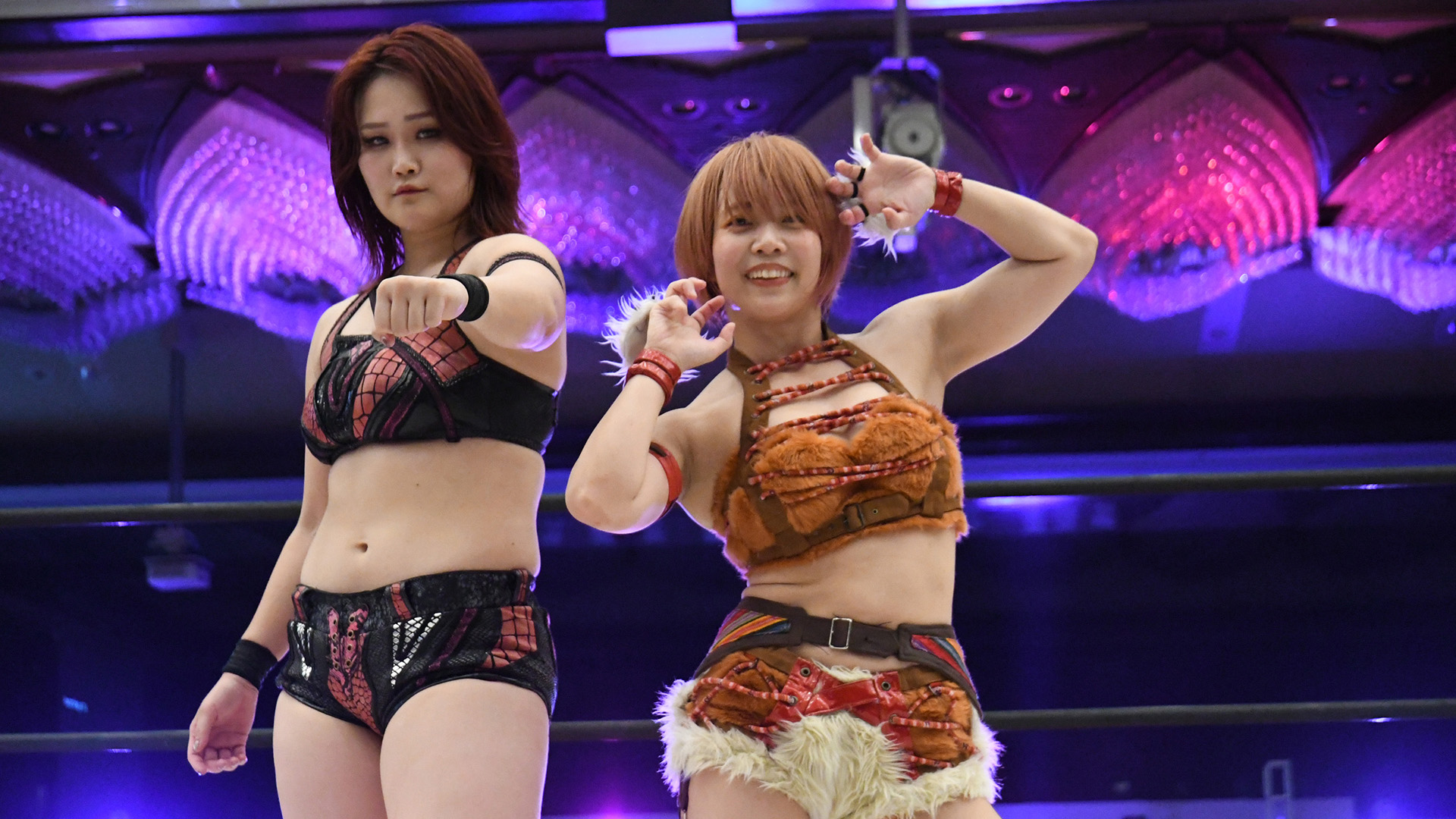 1年半ぶりとなる上越市・Duo CEREZO大会が2月11日(水＝祝)に決定！　今回も夜には恒例のファンミーティングで、中島翔子、瑞希、風城ハル、芦田美歩がウエディングドレスで登場！　ドレスアップした選手たちとの集合写真撮影券付きチケットも発売！